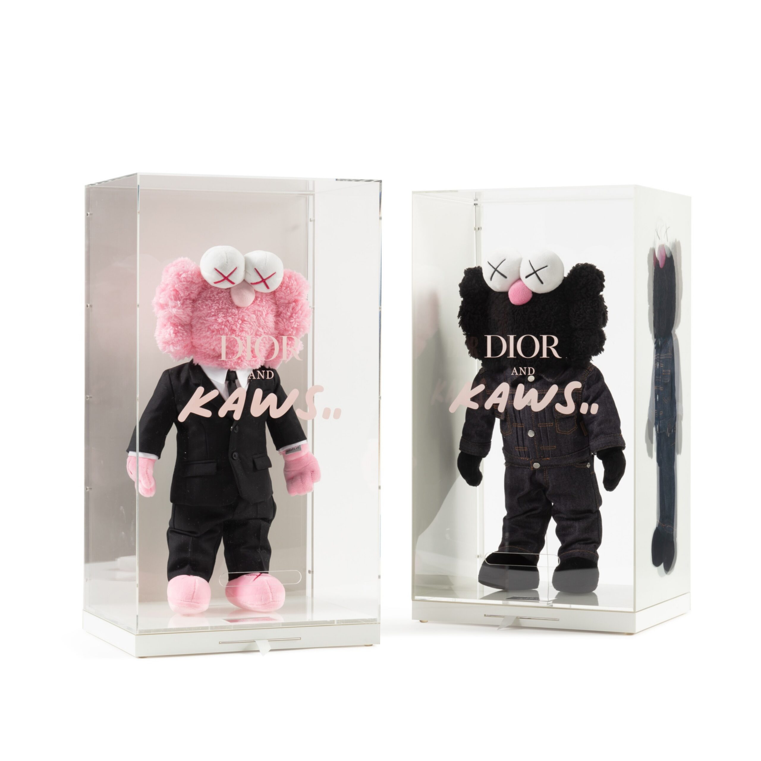 Dior x KAWS